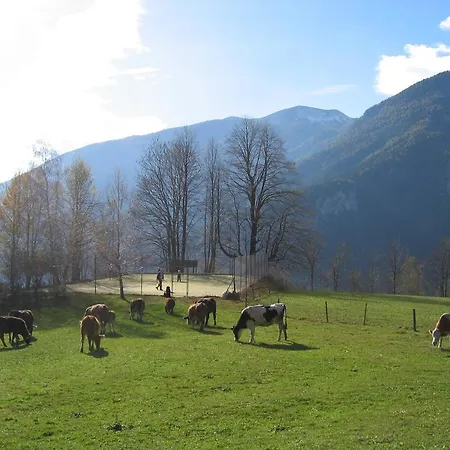 Turisticna Kmetija Zgornji Zavratnik
