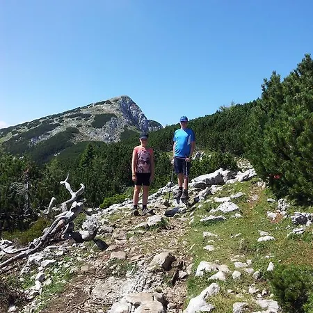 Pensjonat Turisticna Kmetija Zgornji Zavratnik