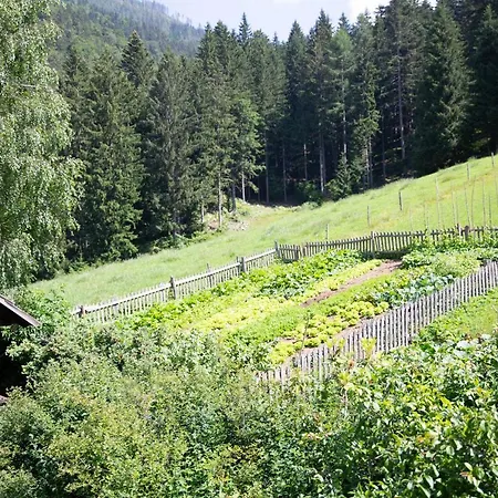Maison d'hôtes Turisticna Kmetija Zgornji Zavratnik *