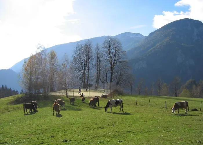 Turisticna Kmetija Zgornji Zavratnik