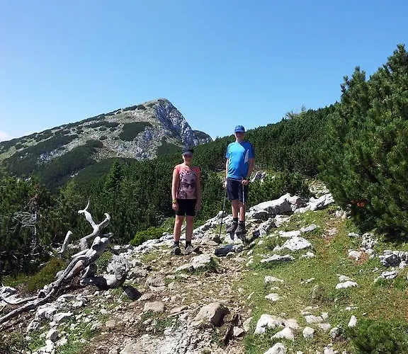 Vendégház Turisticna Kmetija Zgornji Zavratnik