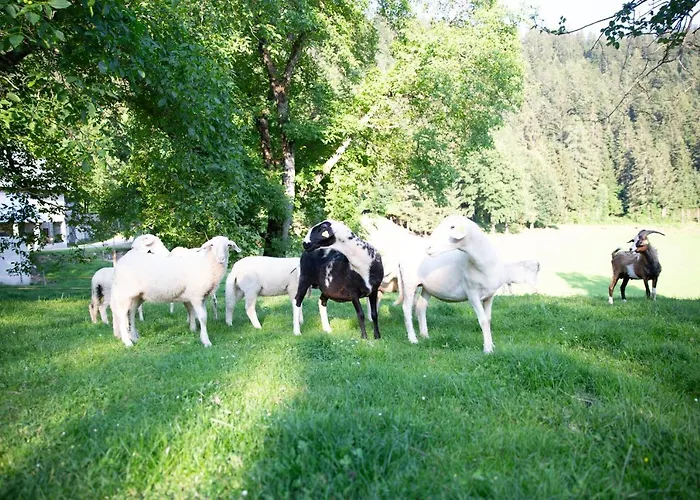 Pensjonat Turisticna Kmetija Zgornji Zavratnik 3*